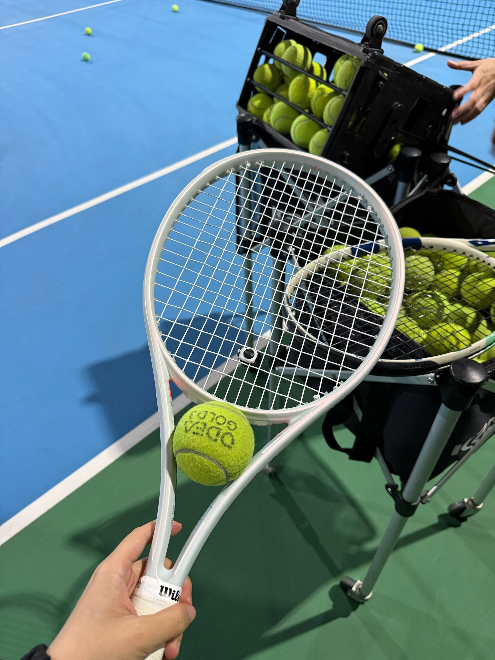 贝林厄姆的 贝林厄姆的